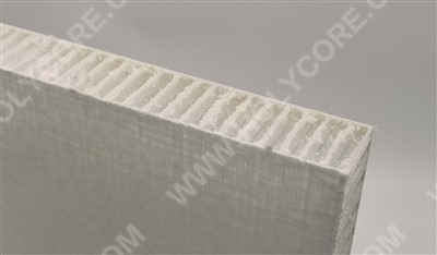 Høj styrke termoplastisk Honeycomb Panel